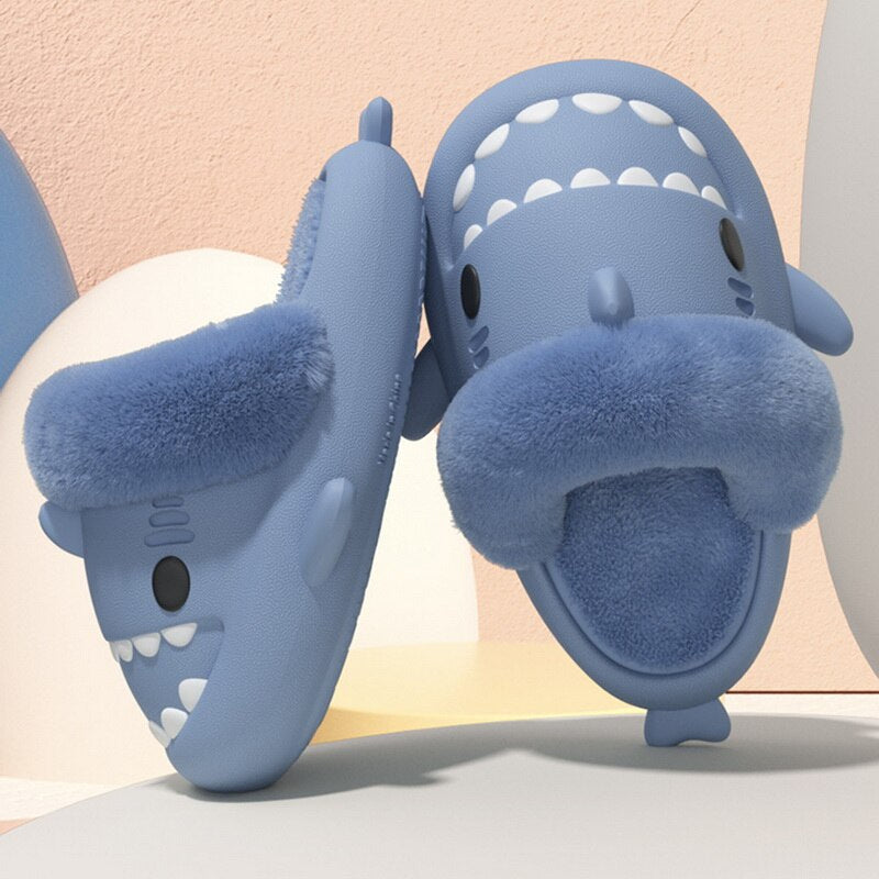 Shark Winter Slides