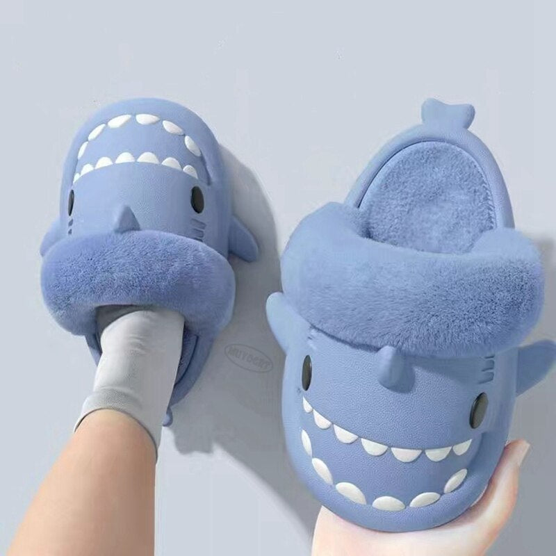 Shark Winter Slides