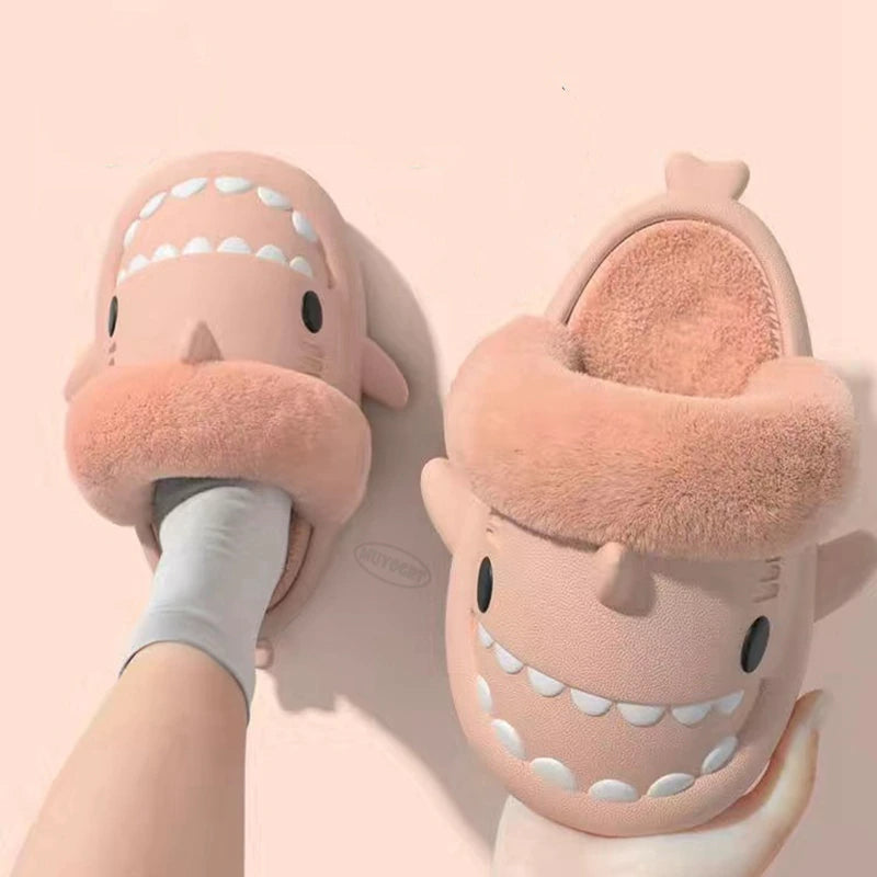Shark Winter Slides