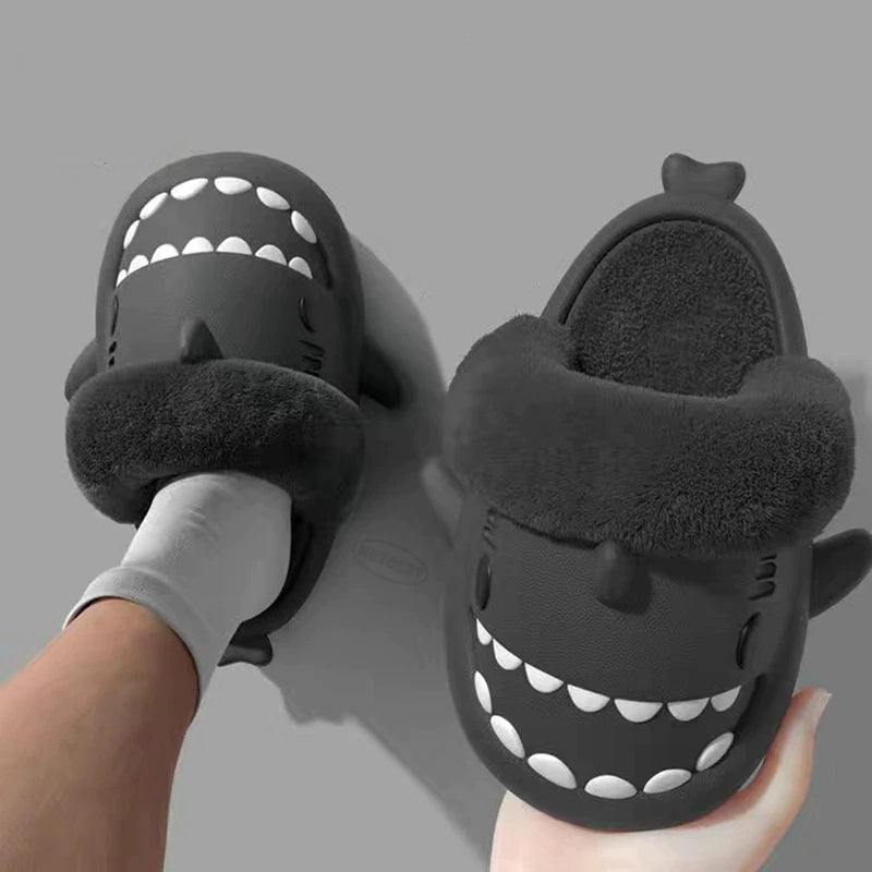 Shark Winter Slides