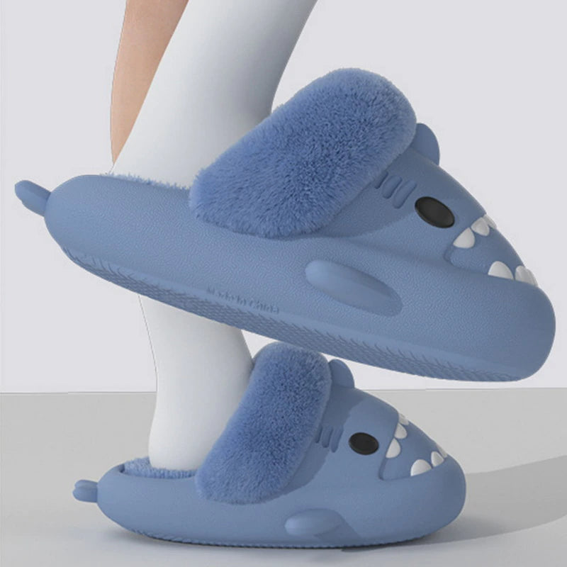 Shark Winter Slides