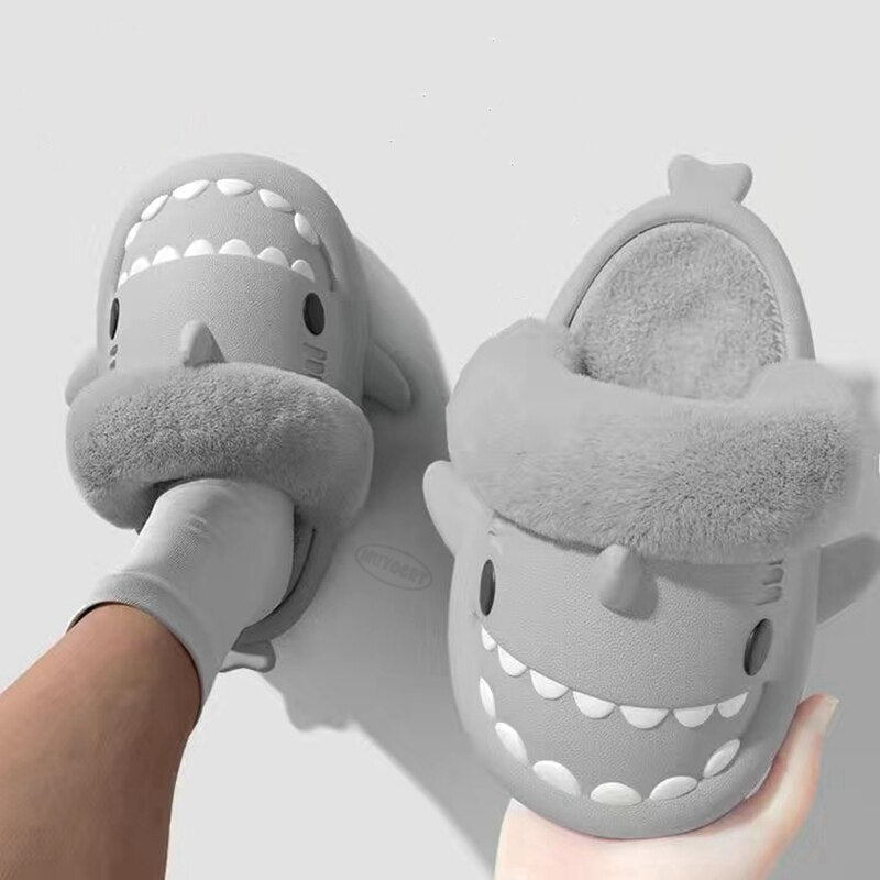 Shark Winter Slides